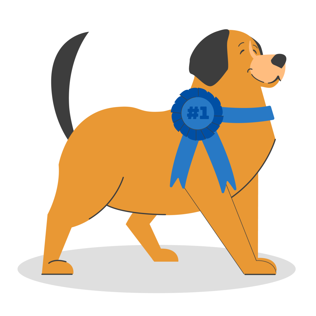 animated brown dog with a blue first place ribbon on collar